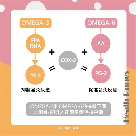 omega 6發炎